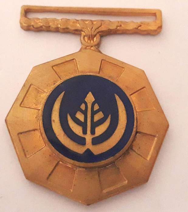 South African Border War Pro Patria Medal