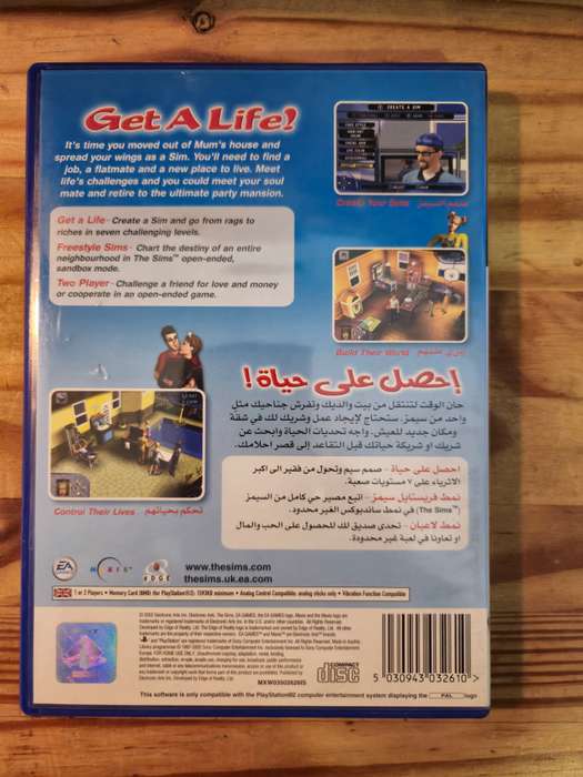 The Sims(PS2)