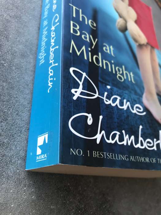 The Bay At Midnight by Diane Chamberlain [Paperback: Like New]