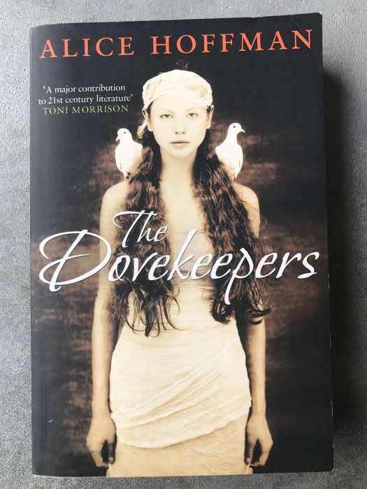 The Dovekeepers by Alice Hoffman [Paperback: Very Good]