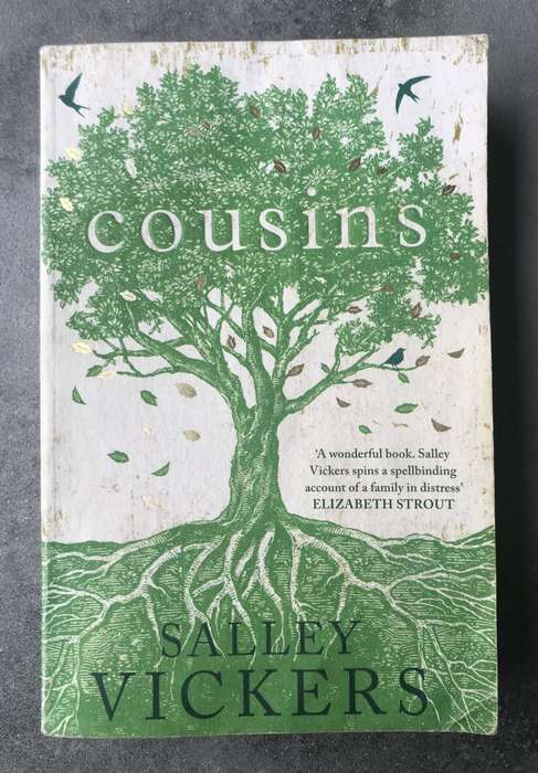 Cousins by Salley Vickers [Large Paperback: Average]