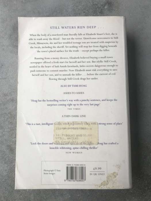 Still Waters by Tami Hoag [Large Paperback: Good]