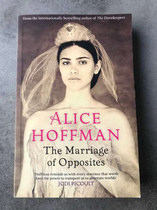 The Marriage of Opposites by Alice Hoffman [Large Paperback: Very Good]