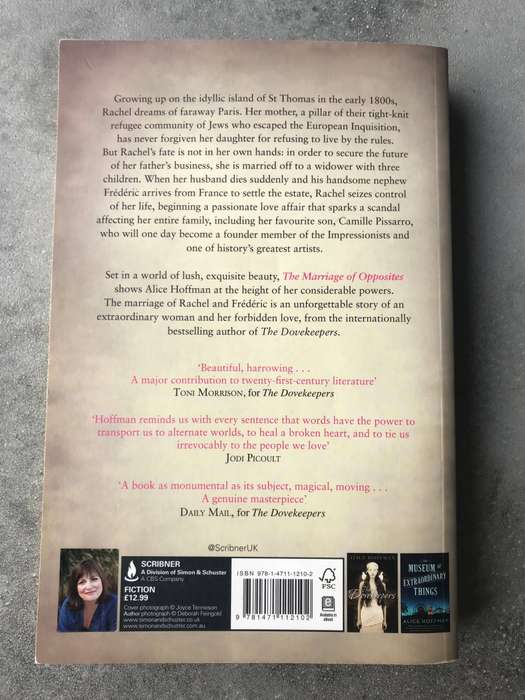 The Marriage of Opposites by Alice Hoffman [Large Paperback: Very Good]