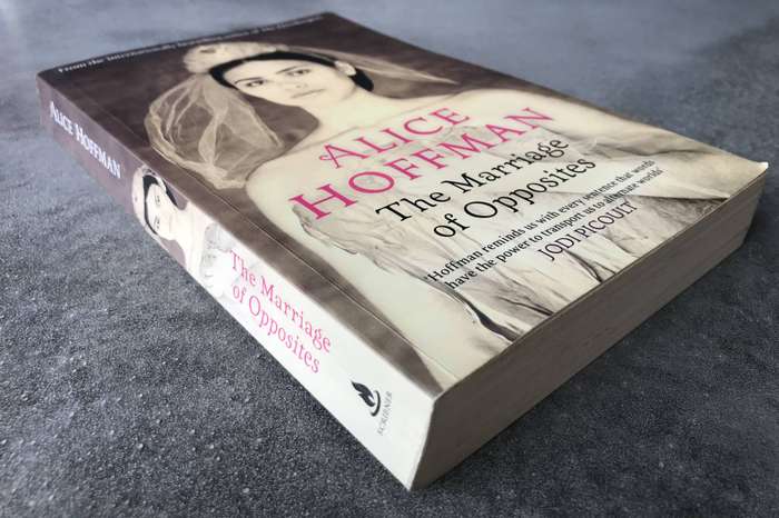 The Marriage of Opposites by Alice Hoffman [Large Paperback: Very Good]