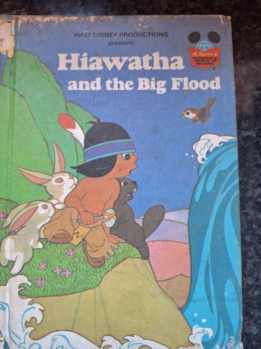 Hiawatha and the big Flood Children's book