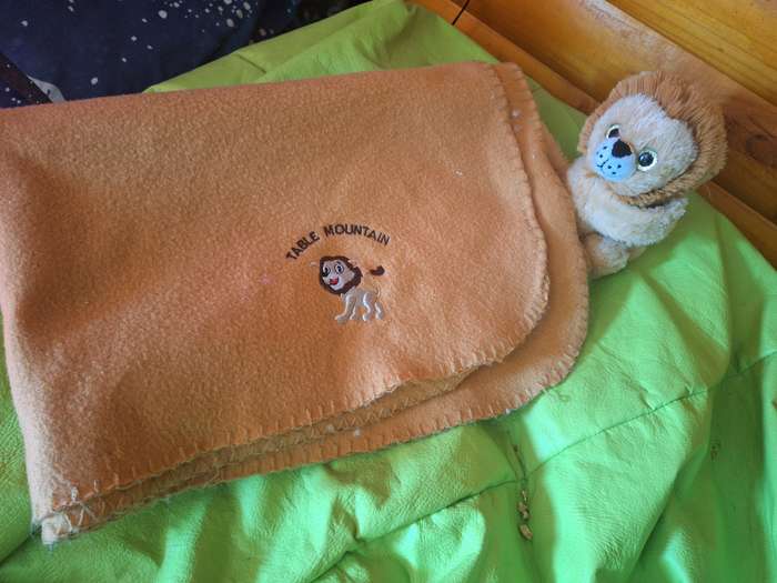 Lion holding a Blanket