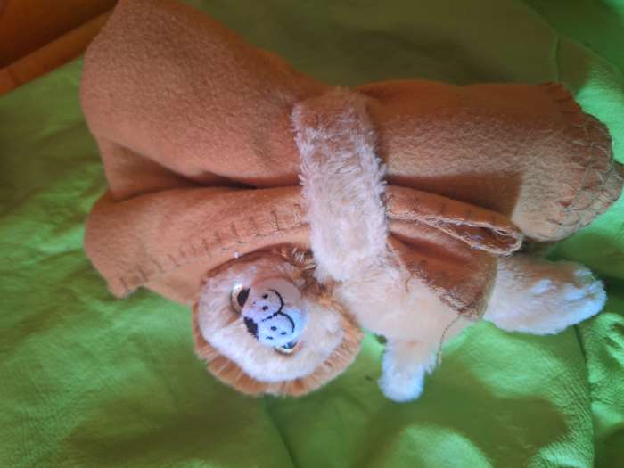 Lion holding a Blanket