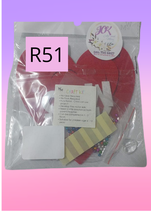 DIY craft kit - my room