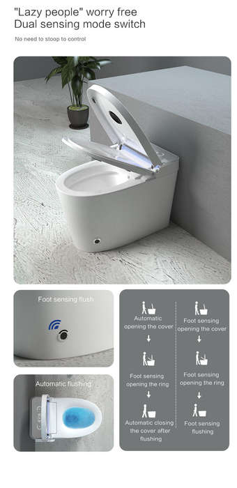 Intelligent Toilet Tankless