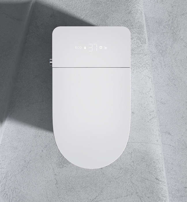 Intelligent Toilet Tankless