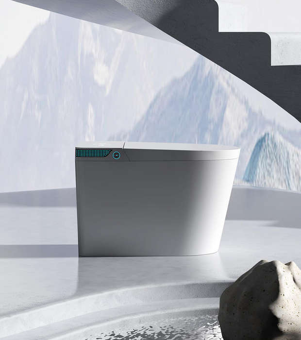 Intelligent Toilet Tankless