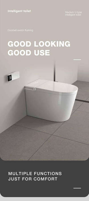 Intelligent Toilet Tankless