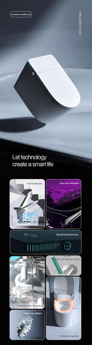 Intelligent Toilet Tankless