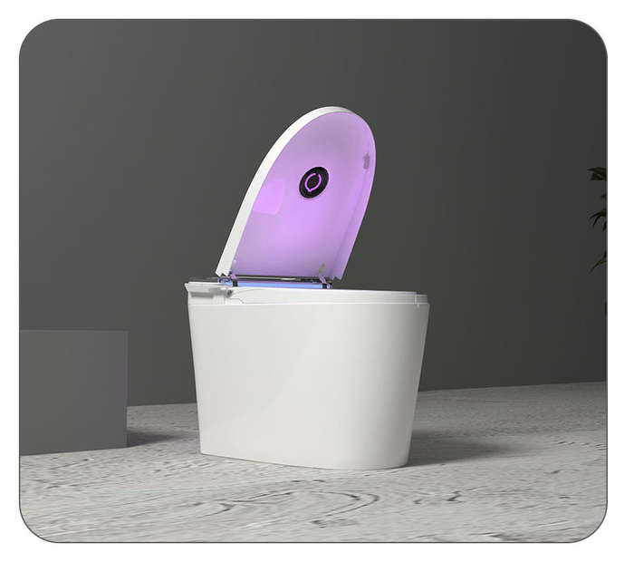 Intelligent Toilet Tankless