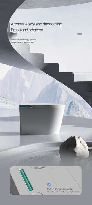Intelligent Toilet Tankless