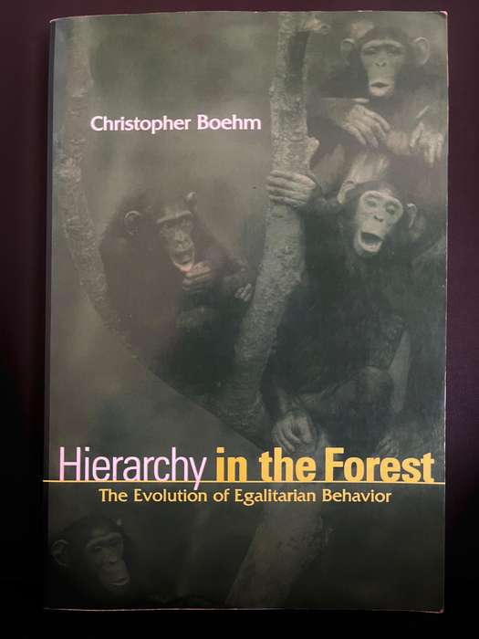 Hierarchy in the Forest by Christopher Boehm