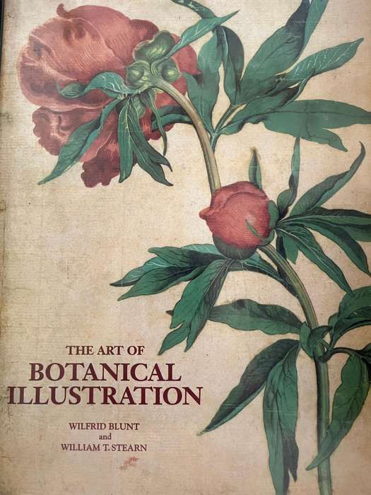 The Art of Botanical Illustration by Blunt and Stearn