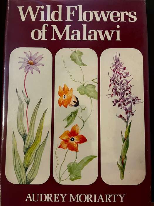 Wild Flowers of Malawi by Audrey Moriarty