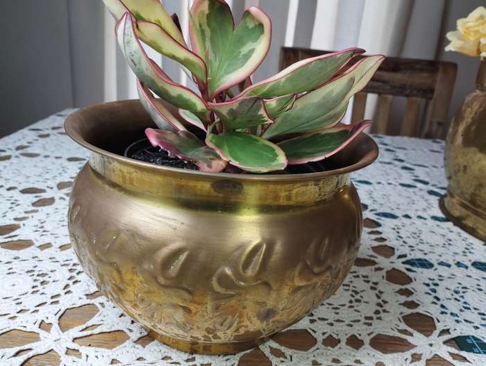 Planter Brass plated copper planter med-large