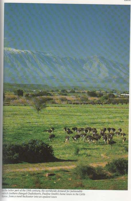 THE BEST SOUTH AFRICAN SHORT STORIES - ANNE TURNER (1 ST EDITION 1991)
