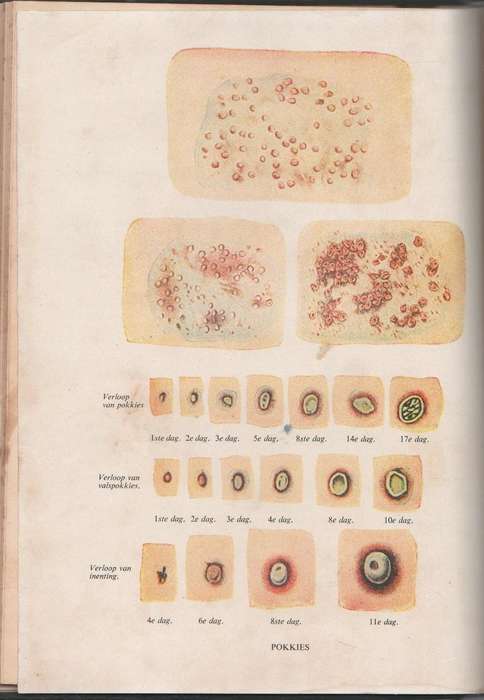 DIE AFRIKAANSE HUISDOKTER, BOEKDEEL II 1956