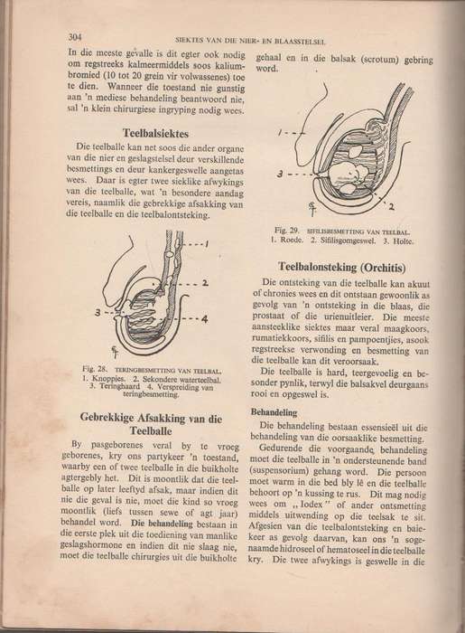 DIE AFRIKAANSE HUISDOKTER, BOEKDEEL II 1956