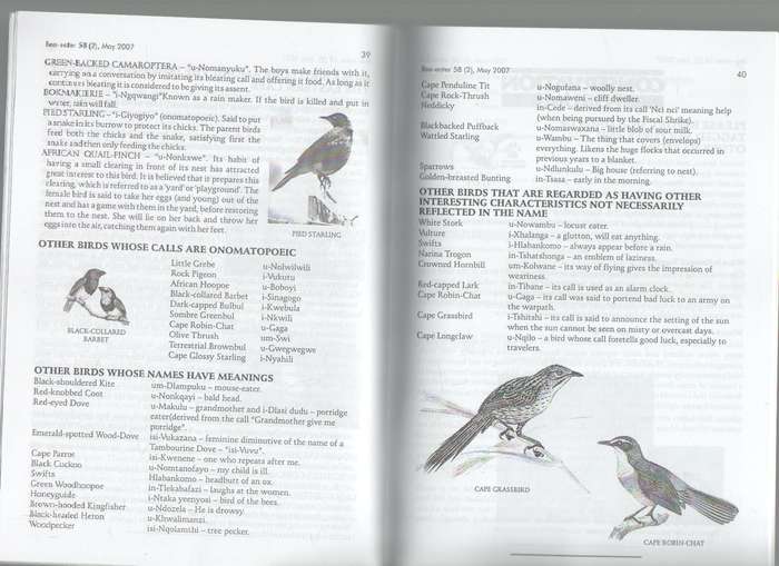 THE BEE-EATER AND BIRDLIFE EASTERN CAPE NEWS - BIRDLIFE EASTERN CAPE (MAY 2007)