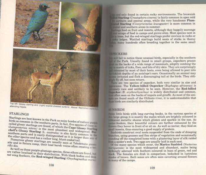 THE KRUGER NATIONAL PARK - L E O BRAACK - STRUIK ALL-COLOUR GUIDE (1 ST EDITION 1983)