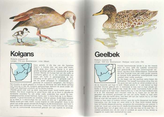 TWEE BOEKE : MAAK KENNIS MET WATERVOELS EN MAAK KENNIS MET MEER-EN VLEIVOELS - CALTEX REEKS