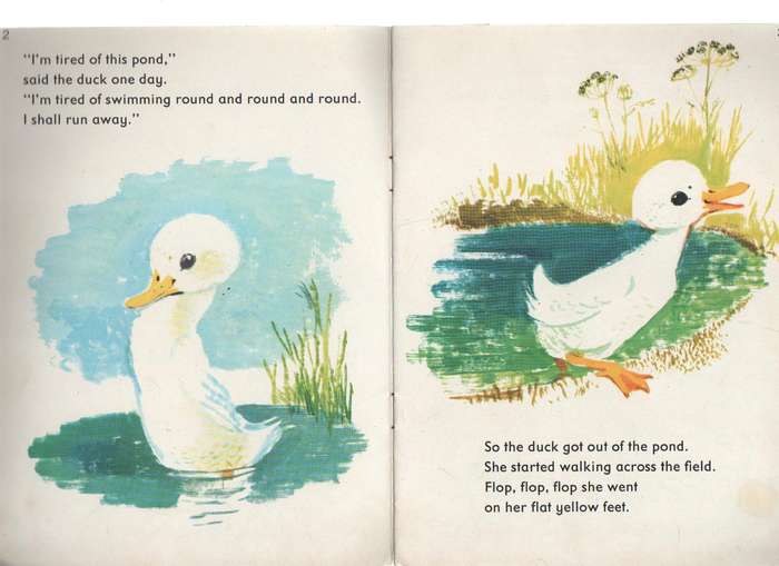 THE DUCK THAT RAN AWAY, BOOK 5 - RUTH AINSWORTH AND RONALD RIDOUT (OLD)