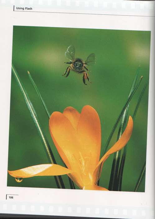 COMPLETE PHOTOGRAPHY MANUAL  - AILSA MCWHINNIE