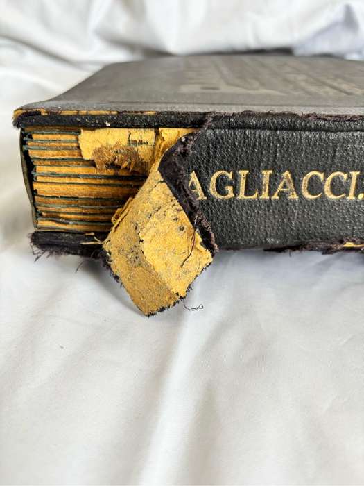 Opera in English Rare 1st Recording 1927 Pagliacci Durable Case