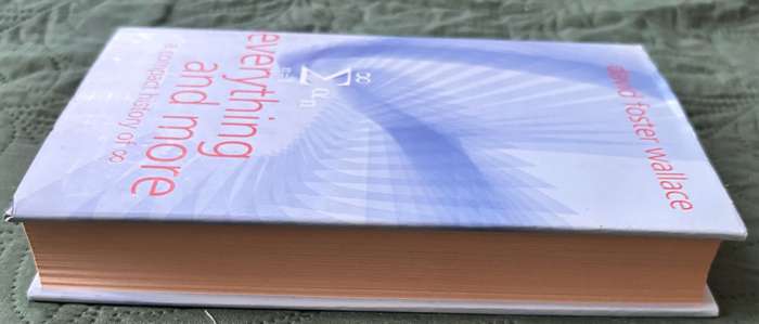 Everything and More David Foster Wallace 1st Edition 2003 Hardcover