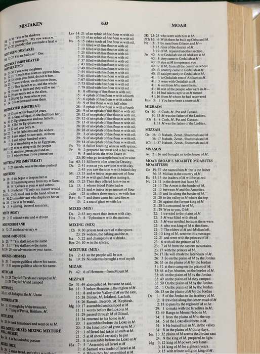 The NIV Complete Concordance Hardcover 1981 Edward W Goodrick & John R Kohlenberger