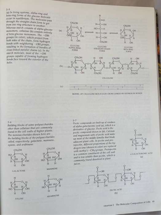 Biology of Plants 3rd Edition Peter H Raven, Ray F Evert