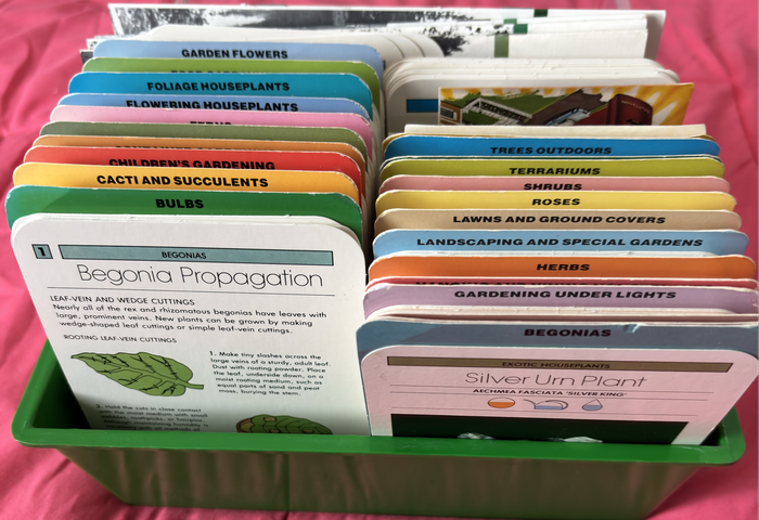 Plant Card Identification in Box