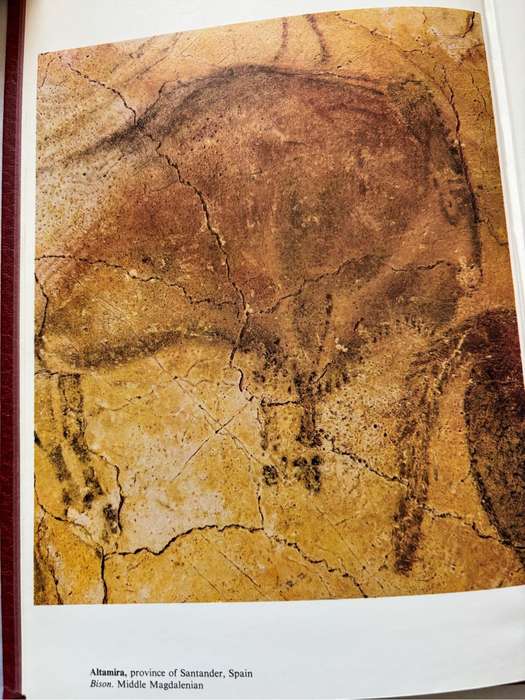 Rare Prehistoric Painting Collectable Ancient Maps