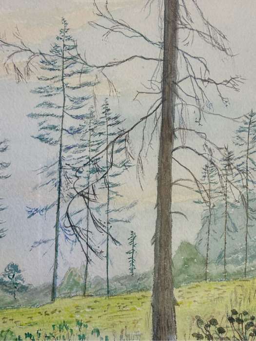 Watercolour signed Wilson England 44 Road Trees