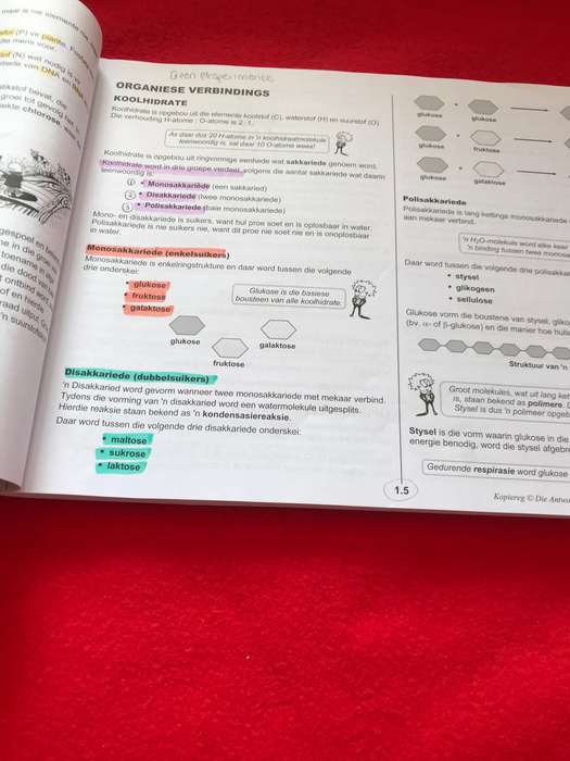 Graad 10: Antwoordreeks Lewenswetenskappe
