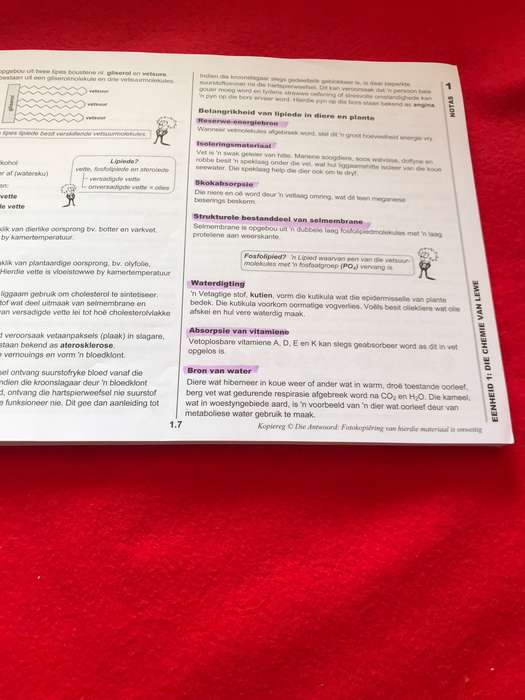Graad 10: Antwoordreeks Lewenswetenskappe