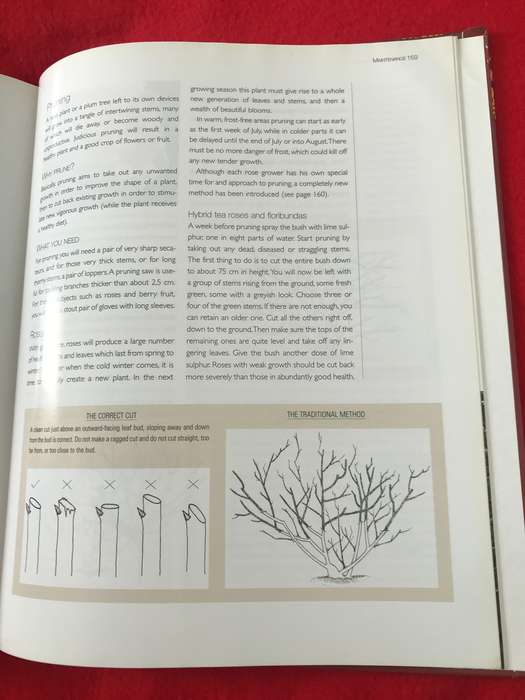 Gardening books Lot of 2 hardcover books