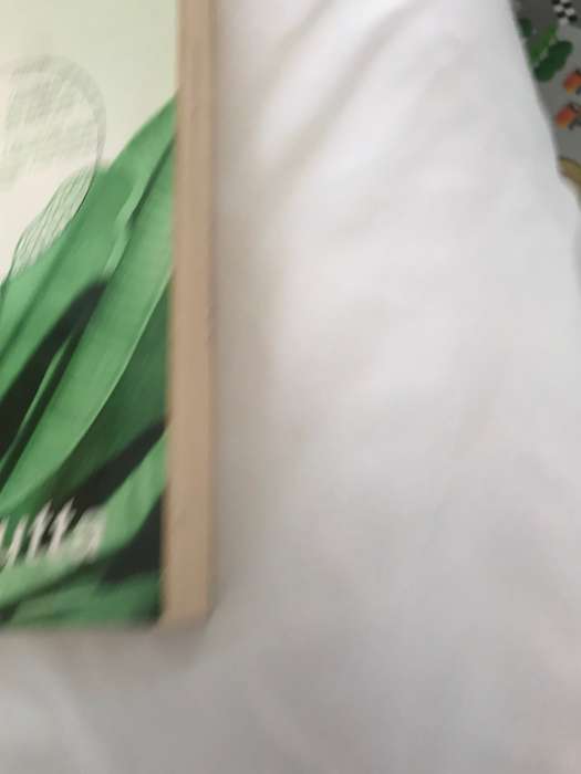 Botany for Degree Students Revised Edition A C Dutta