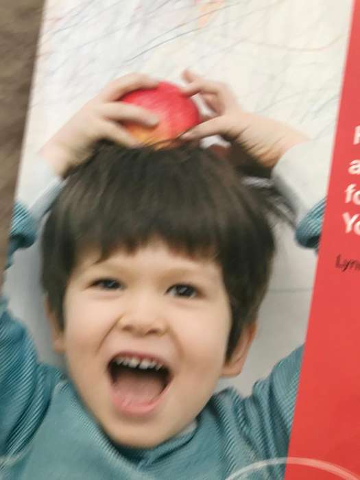 Health, Safety, and Nutrition for the Young Child, International Edition 8th edition
