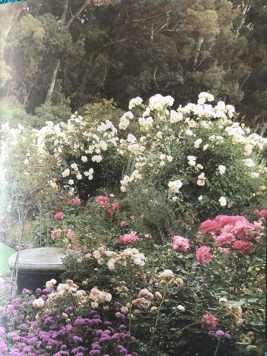 Complete Gardening In Southern Africa by Sheat, W.G. and South African Gardening month by month