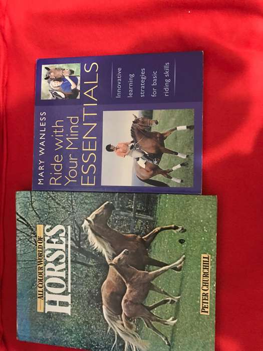 Ride With Your Mind Essentials: Innovative Learning Strategies for Basic Riding Skills & All Colour