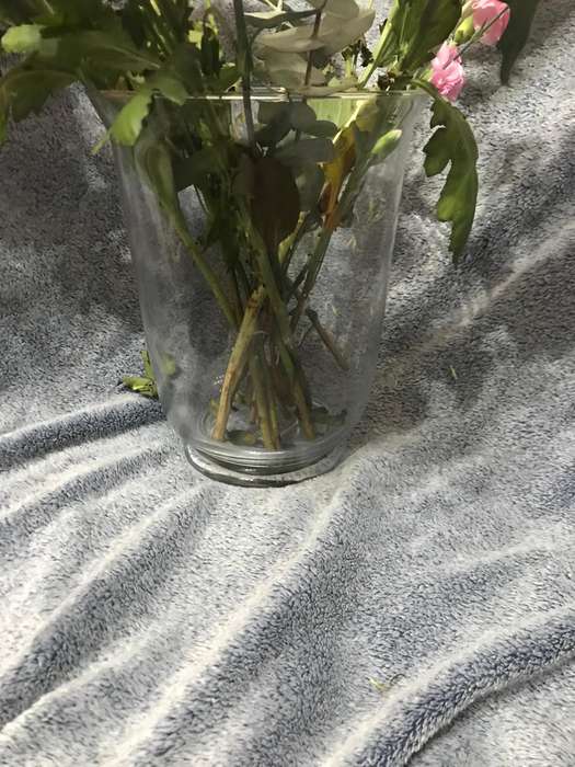 Huge Vase