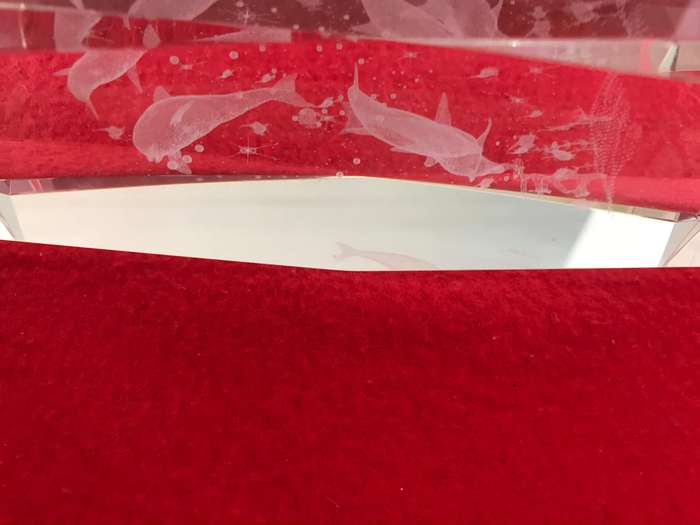 Laser Etched Glass Block Beveled PAPERWEIGHT 3D ORNAMENT Rectangle DOLPHINES 15cm