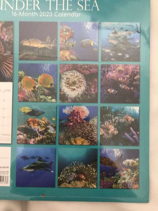 Under the Sea 2023 calendar Sealed new