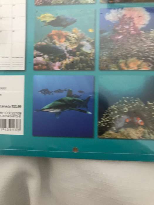 Under the Sea 2023 calendar Sealed new